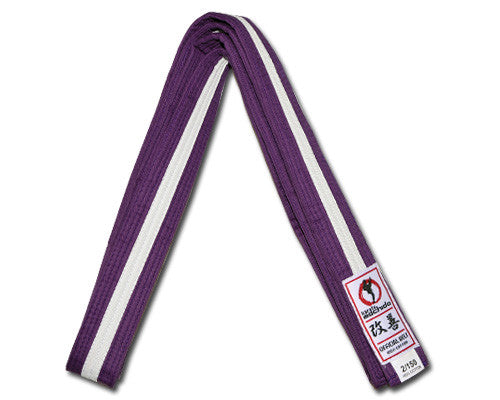 Purple/White Belt - Kids