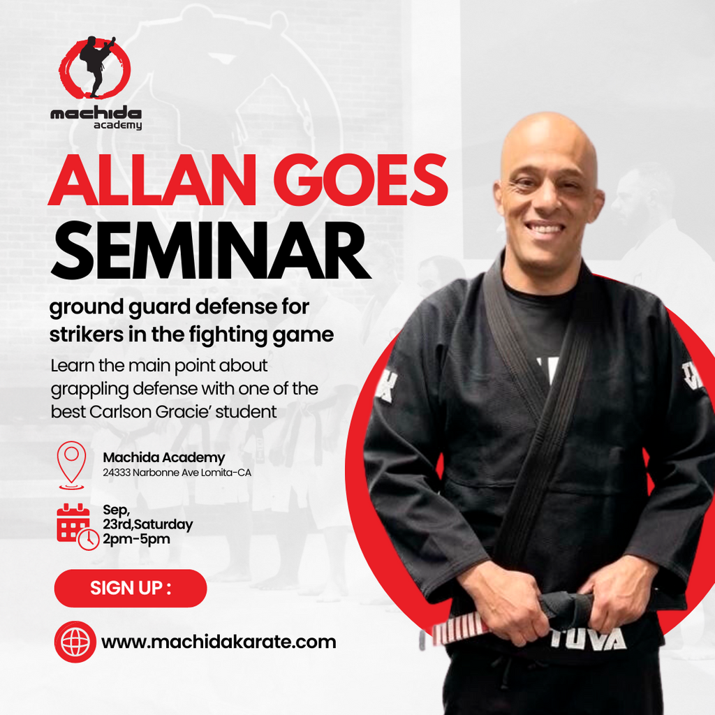Seminar - Allan Goes