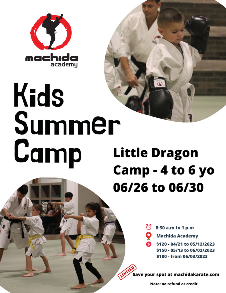 Machida Summer Camp Little Dragon 4-6 years old 2023 -  LOT 2