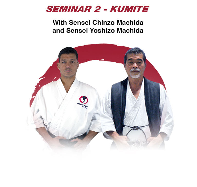 Seminar 2 - Kumite - Yoshizo and Chinzo Machida